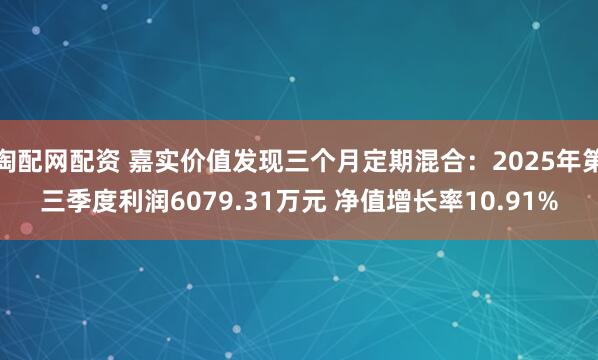 淘配网配资 嘉实价值发现三个月定期混合：2025年第三季度利润6079.31万元 净值增长率10.91%