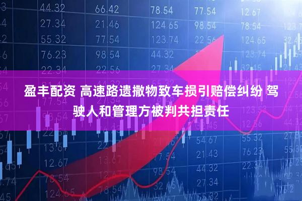 盈丰配资 高速路遗撒物致车损引赔偿纠纷 驾驶人和管理方被判共担责任